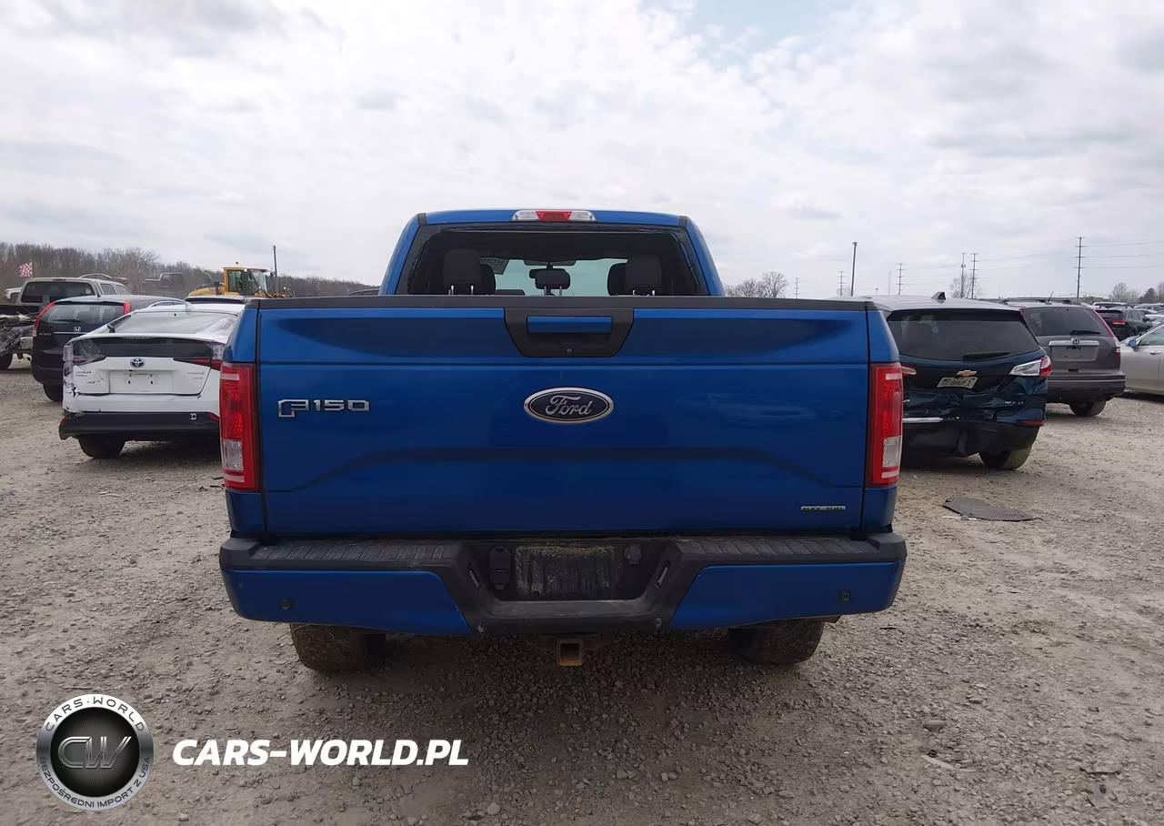 2015 Ford F-150 Xlt VIN:1FTFX1EF3FFA86158 - 16