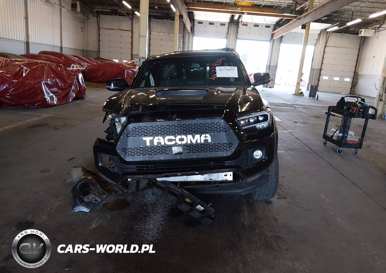 2019 Toyota Tacoma Trd Sport VIN:5TFSZ5AN3KX203254 - 13