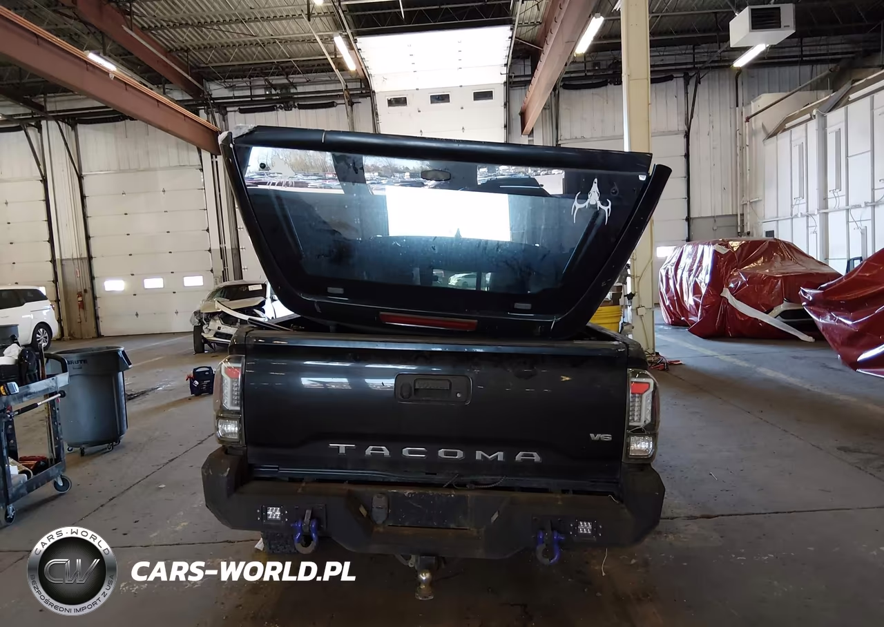 2019 Toyota Tacoma Trd Sport VIN:5TFSZ5AN3KX203254 - 17