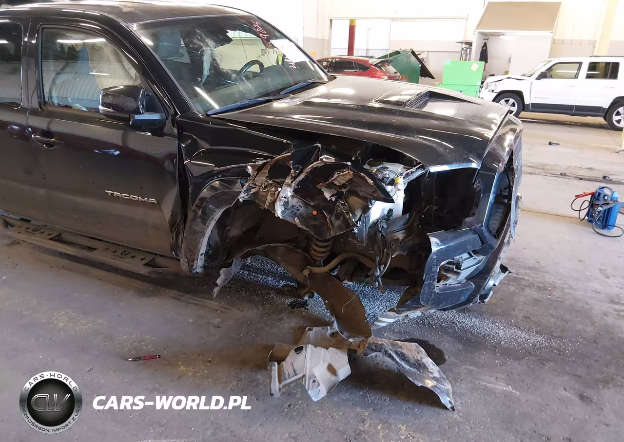 2019 Toyota Tacoma Trd Sport VIN:5TFSZ5AN3KX203254 - 6
