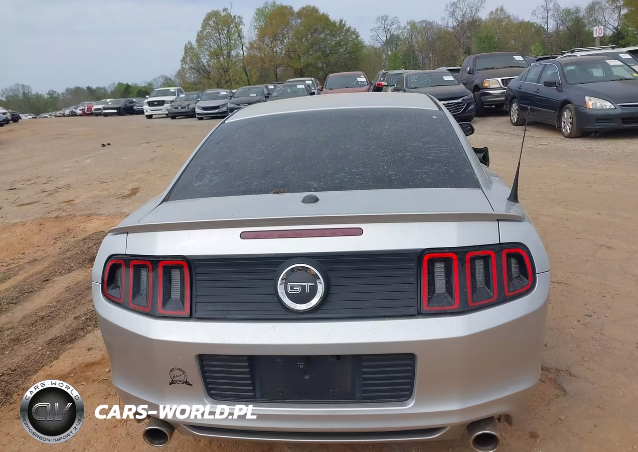 2014 Ford Mustang Gt Premium VIN:1ZVBP8CF9E5280821 - 16