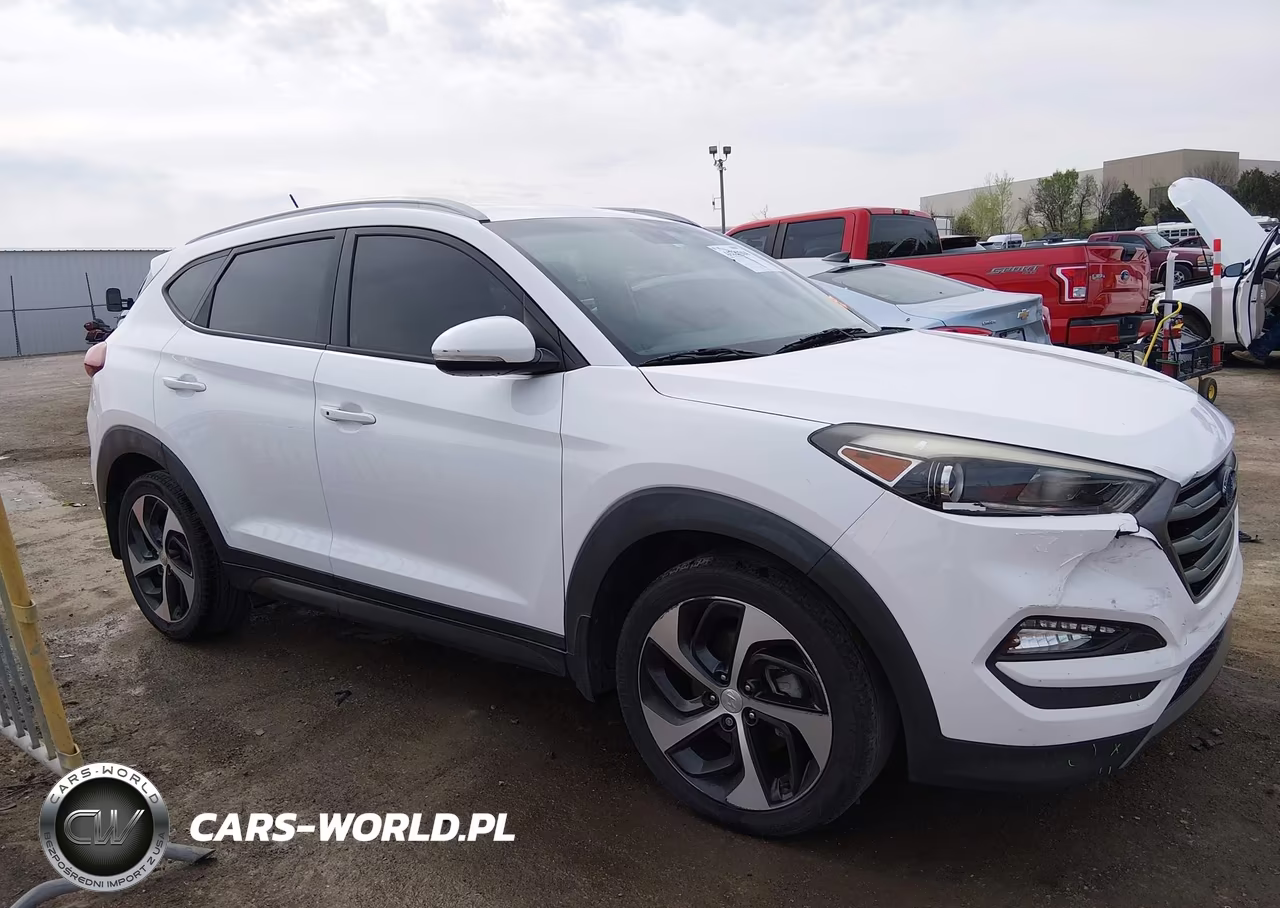 2016 Hyundai Tucson Sport VIN:KM8J33A23GU090143 - 13