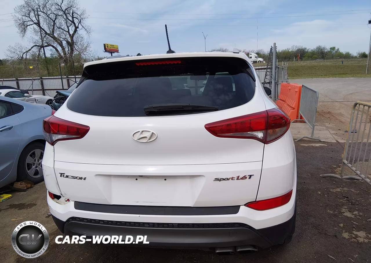 2016 Hyundai Tucson Sport VIN:KM8J33A23GU090143 - 16