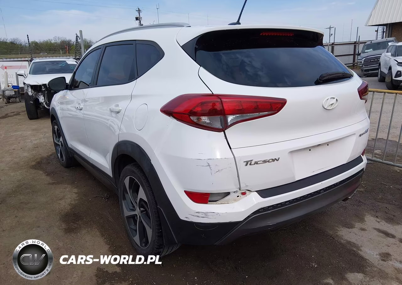 2016 Hyundai Tucson Sport VIN:KM8J33A23GU090143 - 3