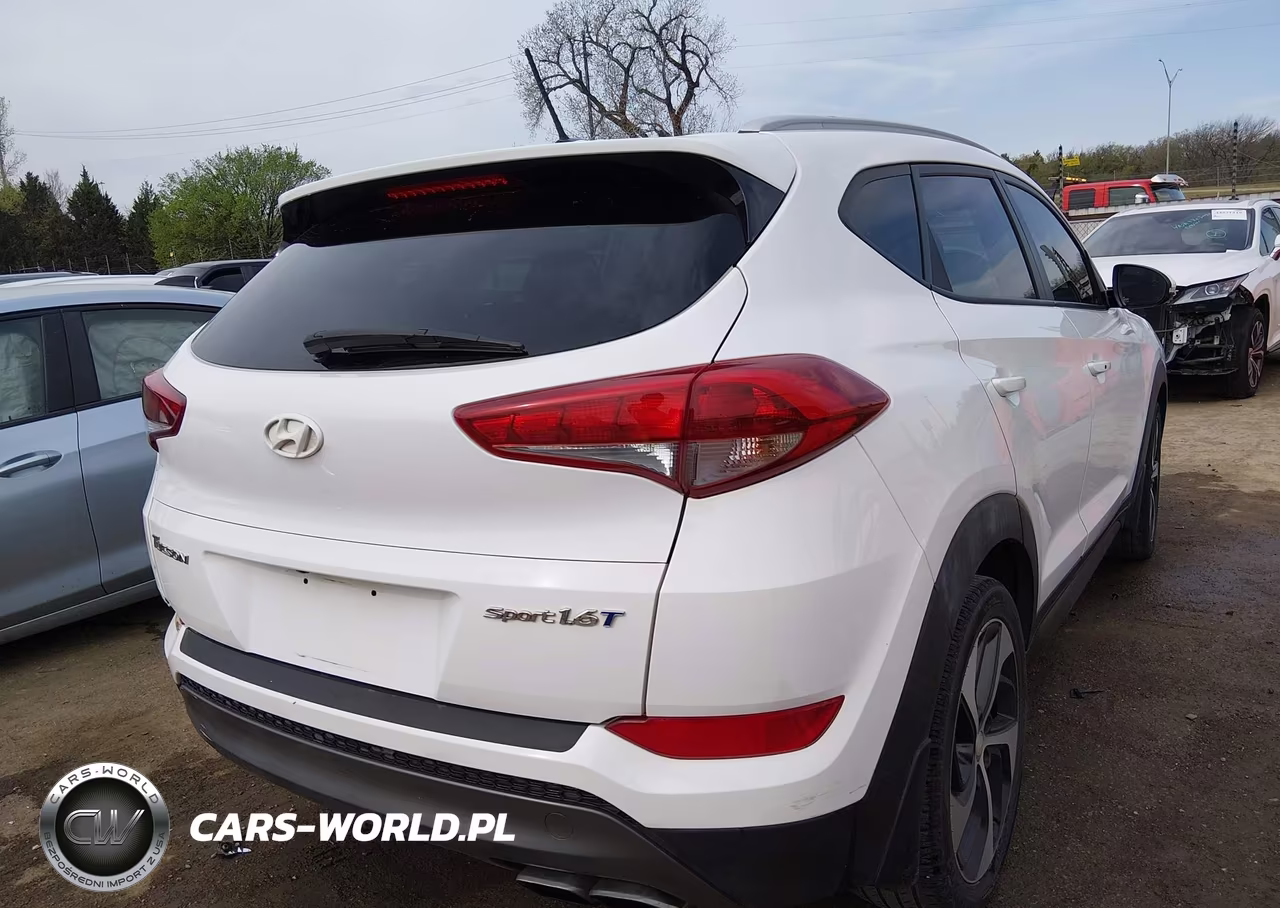 2016 Hyundai Tucson Sport VIN:KM8J33A23GU090143 - 4