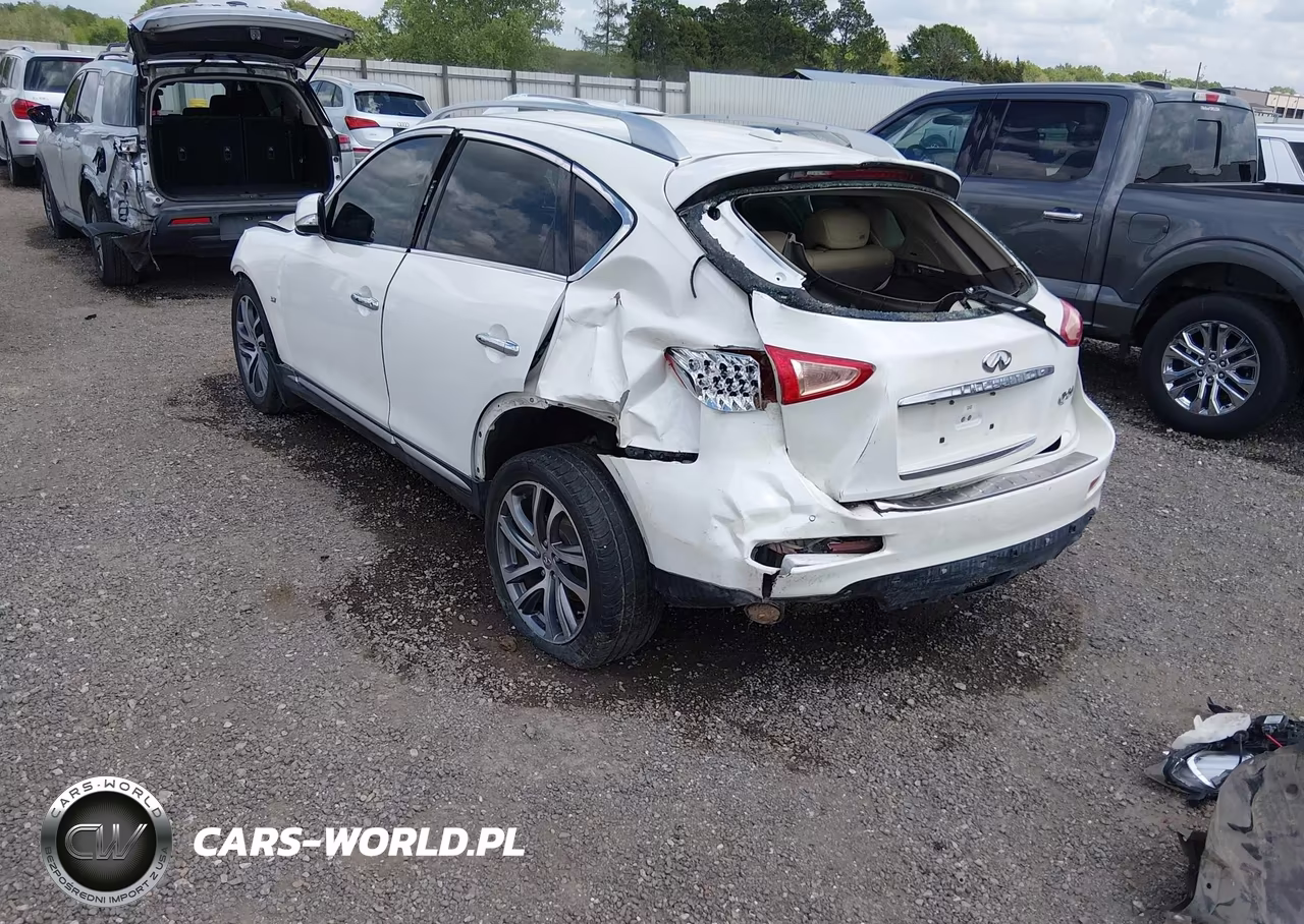 2016 Infiniti Qx50 VIN:JN1BJ0RP0GM234392 - 3