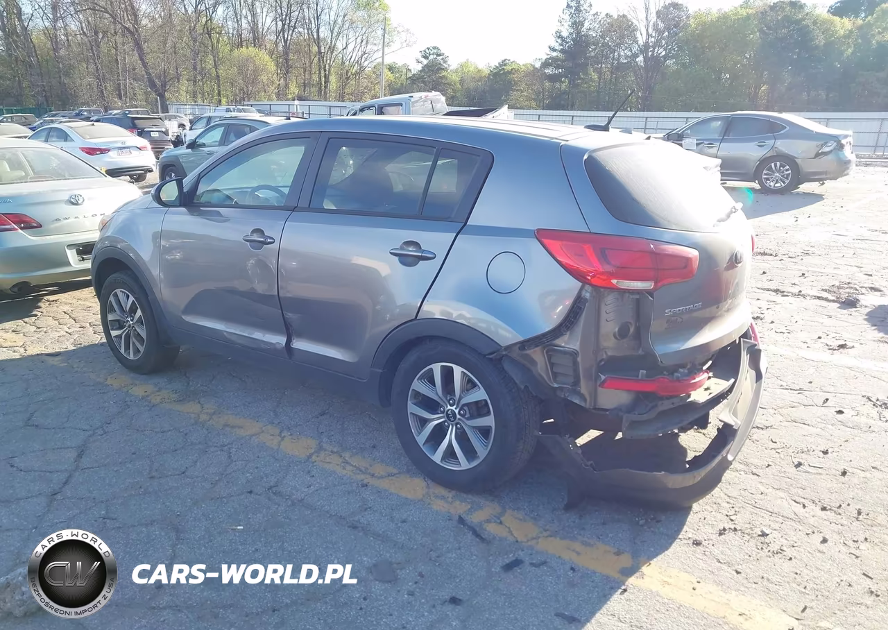 2014 Kia Sportage Lx VIN:KNDPB3AC1E7565519 - 3