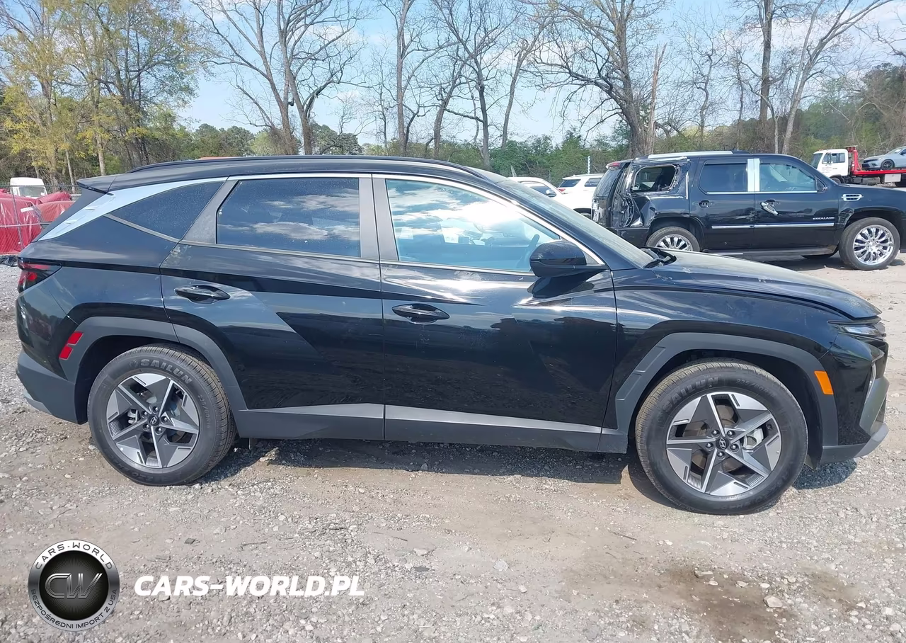 2025 Hyundai Tucson Sel VIN:5NMJB3DE5SH444841 - 13