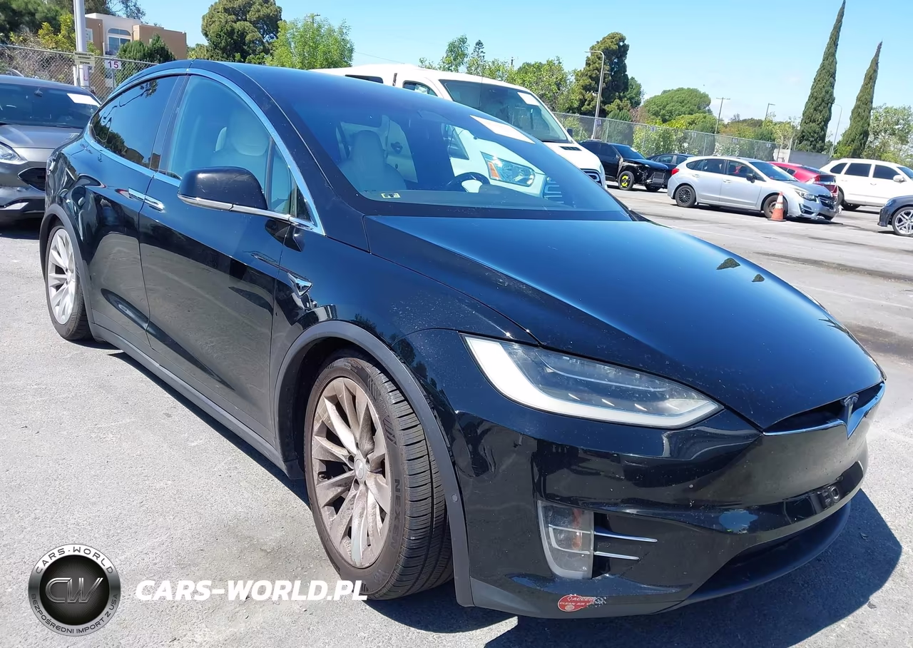 2017 Tesla Model X 100D-75D-90D VIN:5YJXCAE25HF055739 - 1