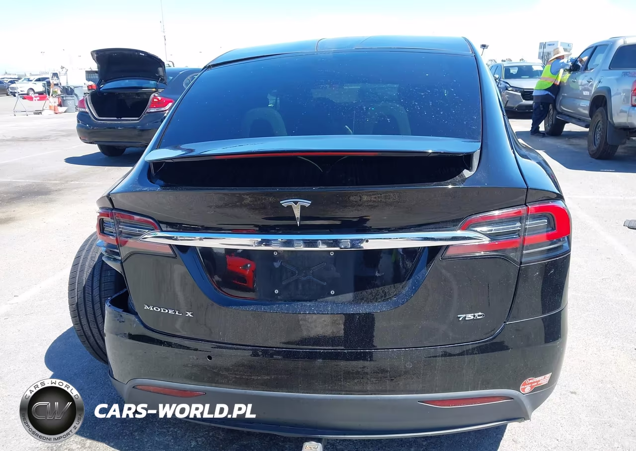 2017 Tesla Model X 100D-75D-90D VIN:5YJXCAE25HF055739 - 16