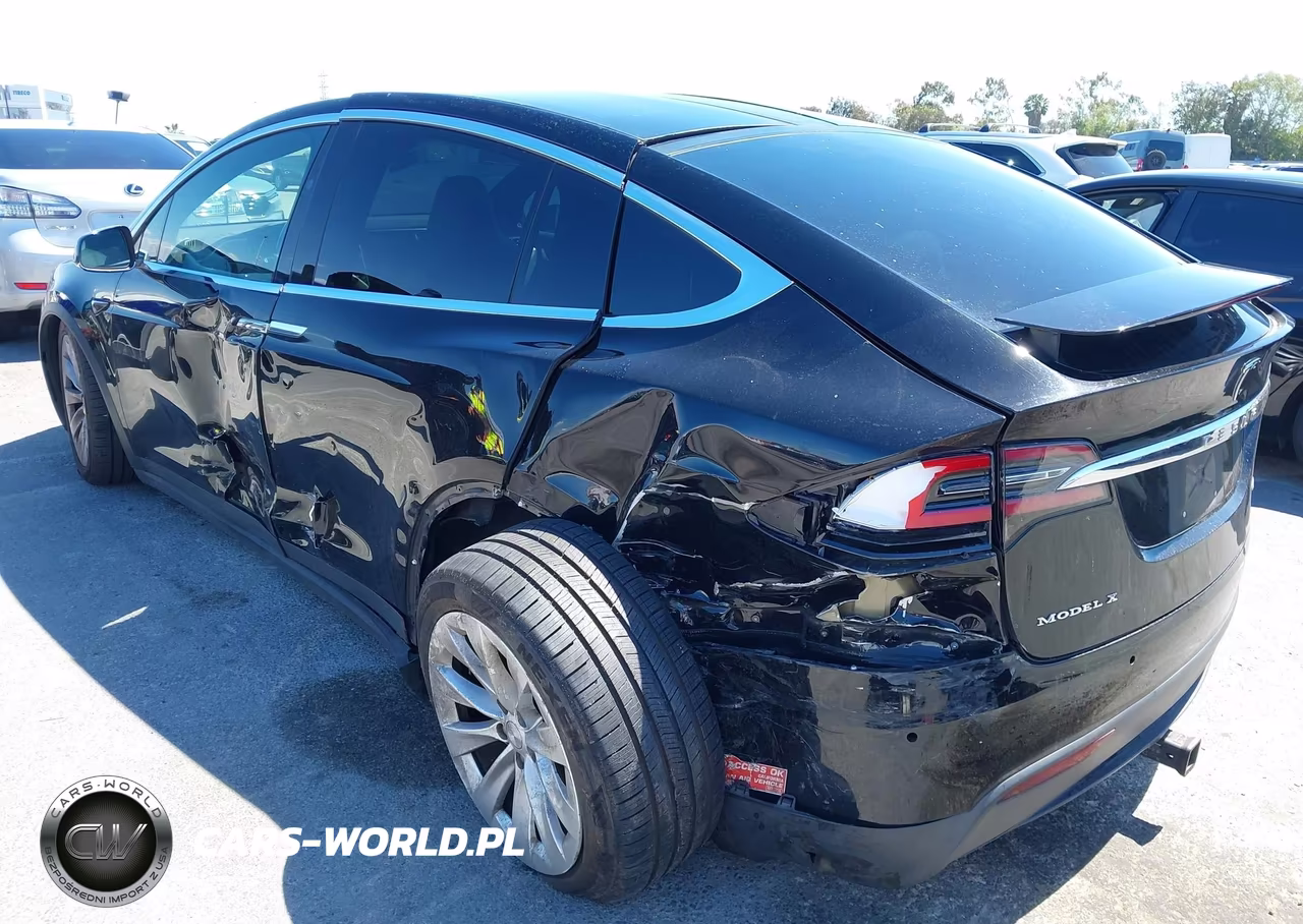 2017 Tesla Model X 100D-75D-90D VIN:5YJXCAE25HF055739 - 6