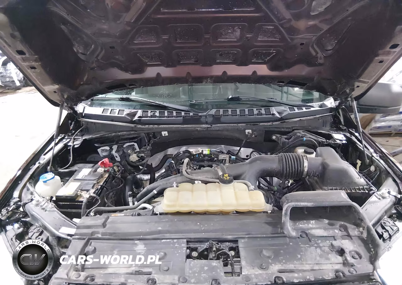 2019 Ford F-150 Xl VIN:1FTEW1EPXKKE74612 - 10