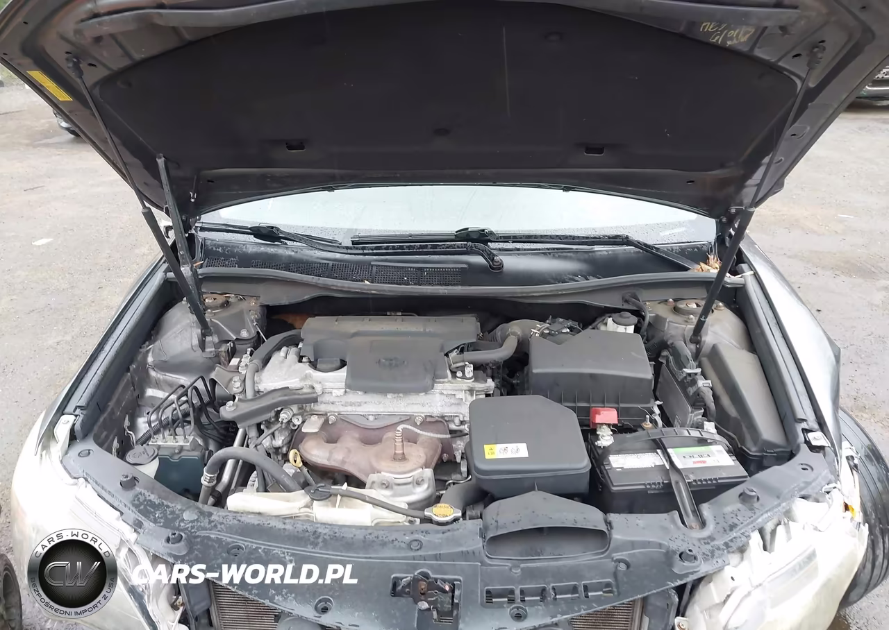 2013 Toyota Camry Se VIN:4T1BF1FK5DU269188 - 10