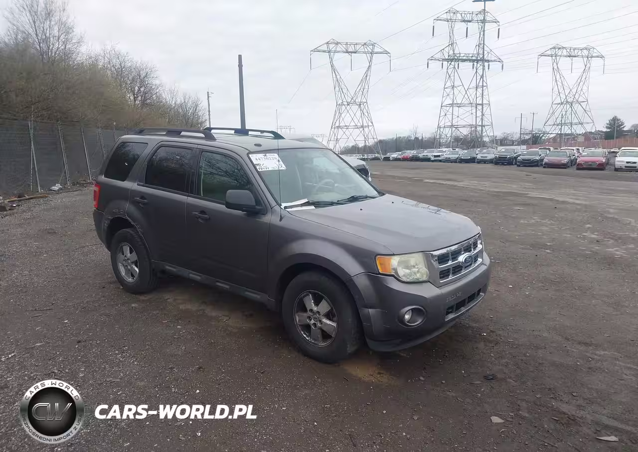 2010 Ford Escape Xlt