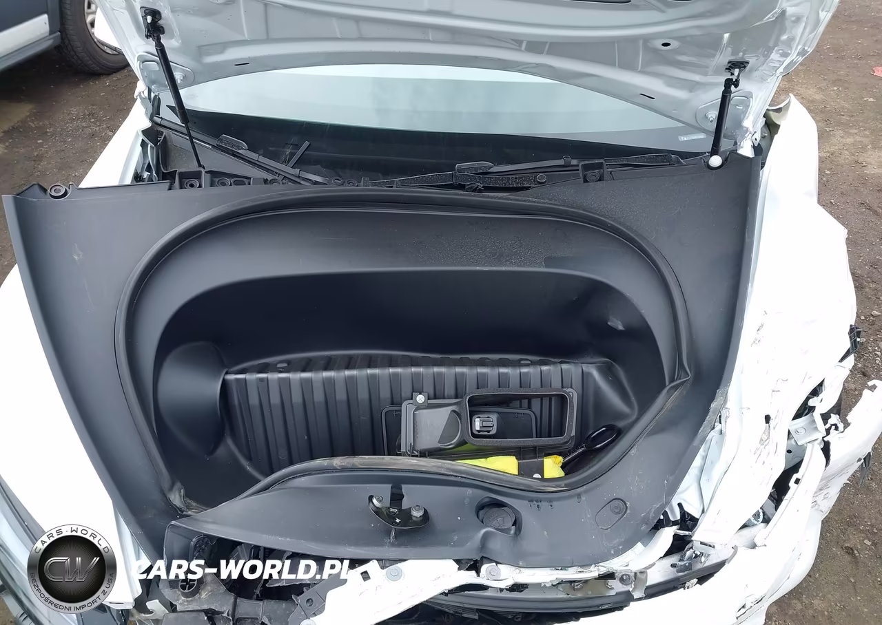 2025 Tesla Model 3 Long Range Rear-Wheel Drive-Standard Rear-Wheel Drive VIN:5YJ3E1EA8SF016859 - 10