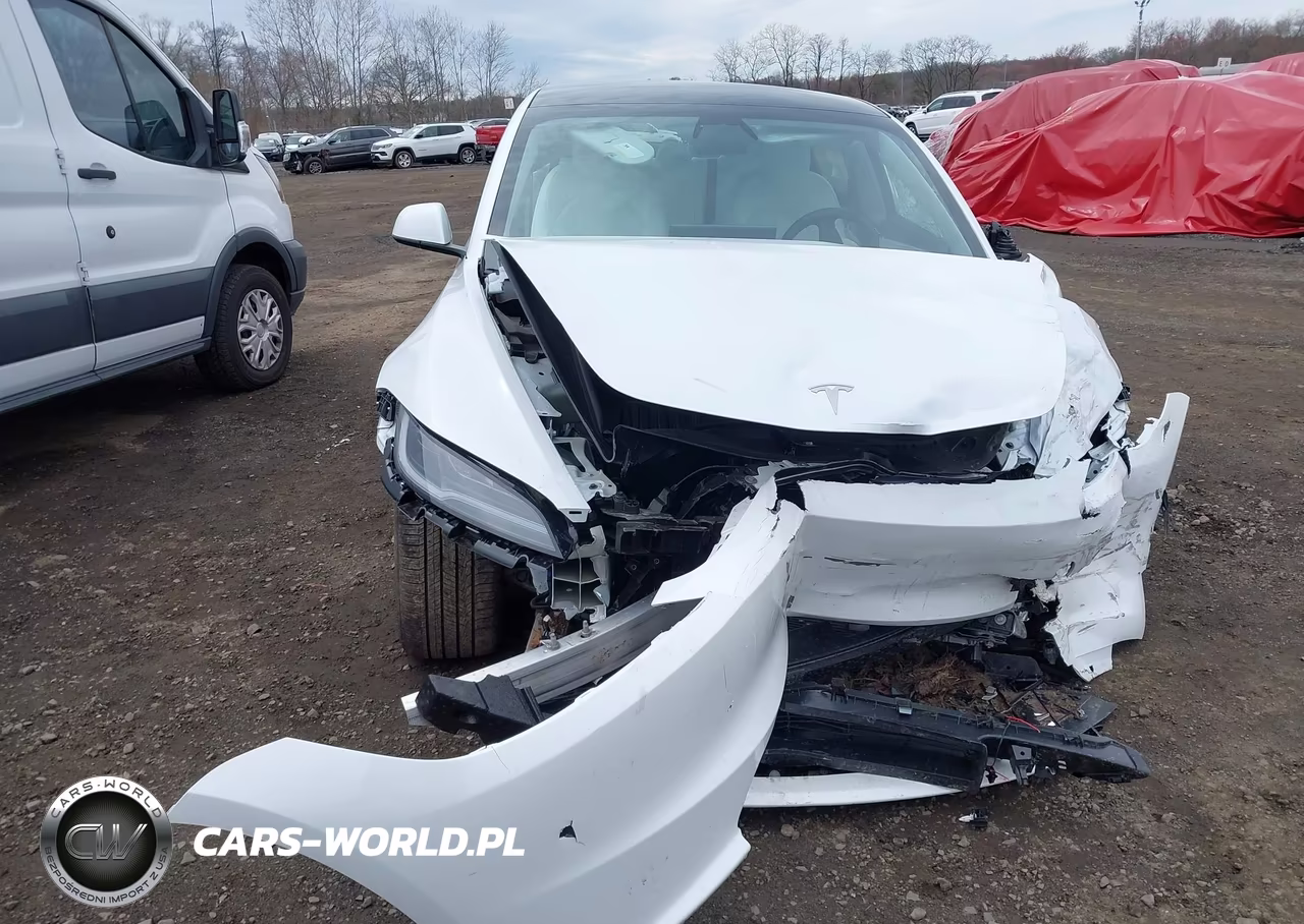 2025 Tesla Model 3 Long Range Rear-Wheel Drive-Standard Rear-Wheel Drive VIN:5YJ3E1EA8SF016859 - 12