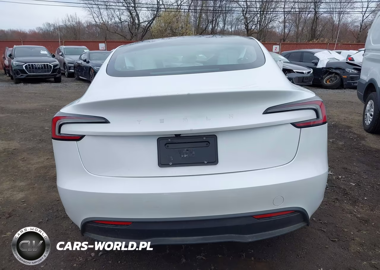 2025 Tesla Model 3 Long Range Rear-Wheel Drive-Standard Rear-Wheel Drive VIN:5YJ3E1EA8SF016859 - 16