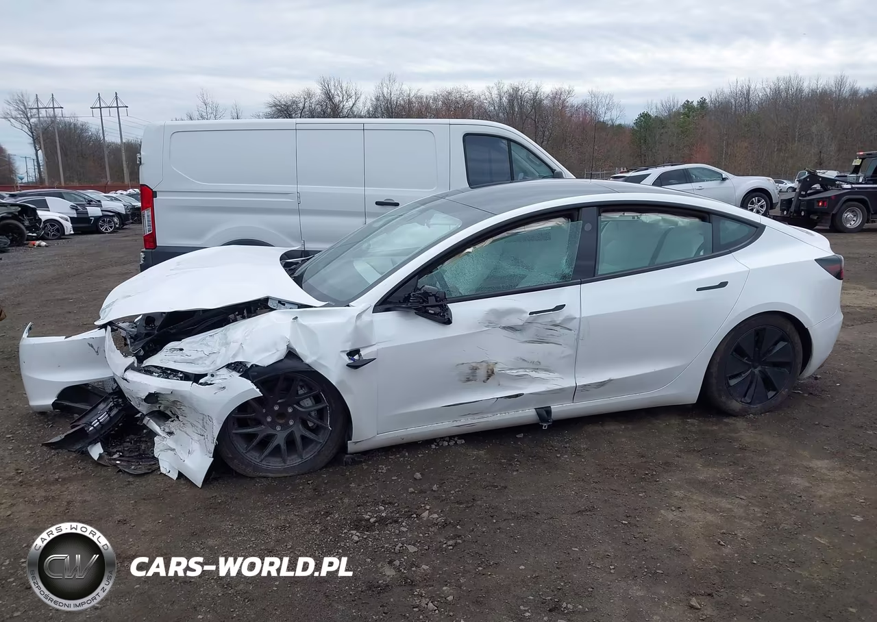 2025 Tesla Model 3 Long Range Rear-Wheel Drive-Standard Rear-Wheel Drive VIN:5YJ3E1EA8SF016859 - 19