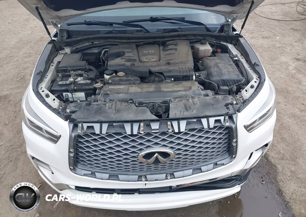 2019 Infiniti Qx80 Luxe VIN:JN8AZ2NF5K9681570 - 10
