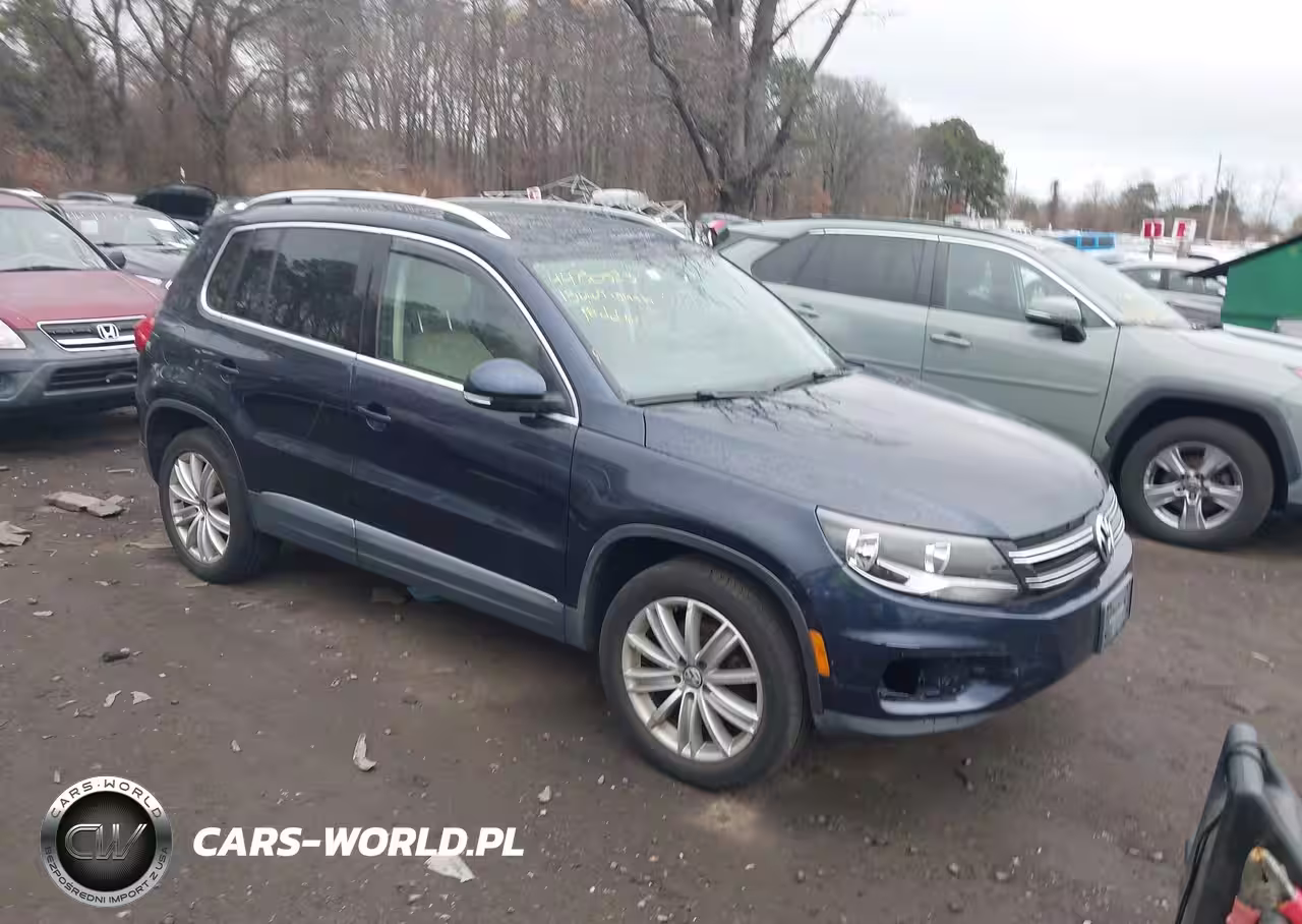 2013 Volkswagen Tiguan Se