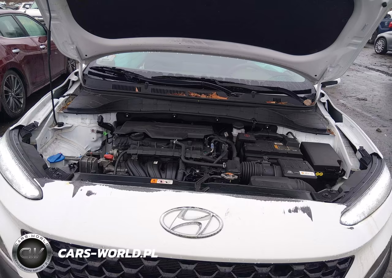 2023 Hyundai Kona Sel VIN:KM8K3CAB1PU057534 - 10