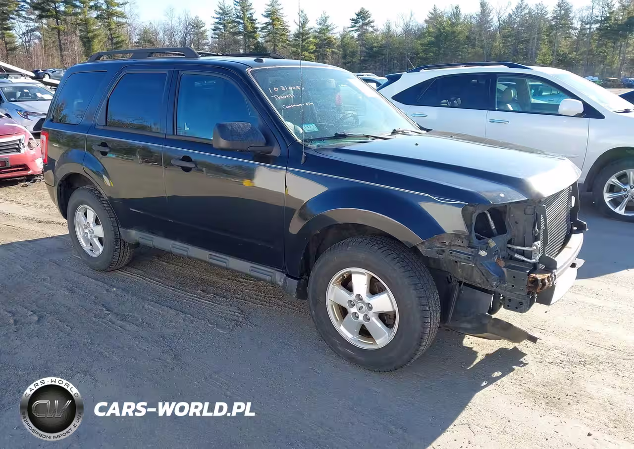 2011 Ford Escape Xlt
