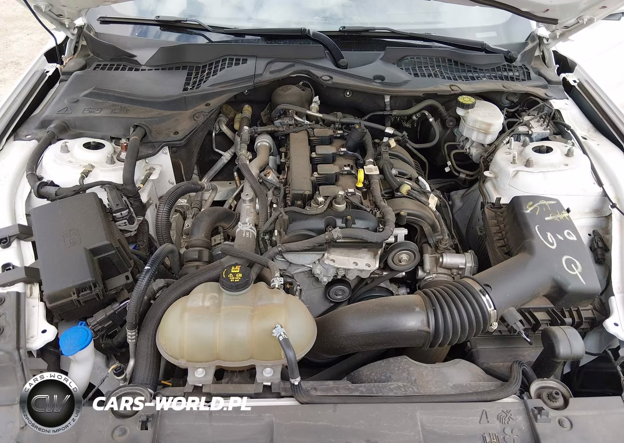 2021 Ford Mustang Ecoboost Fastback VIN:1FA6P8TH8M5138020 - 10
