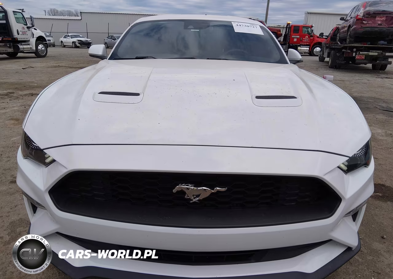 2021 Ford Mustang Ecoboost Fastback VIN:1FA6P8TH8M5138020 - 12