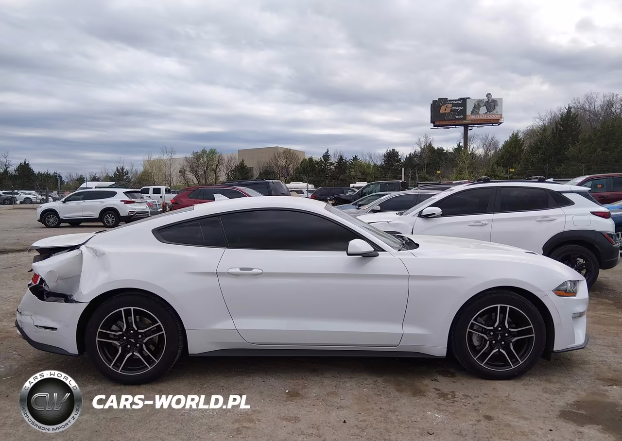 2021 Ford Mustang Ecoboost Fastback VIN:1FA6P8TH8M5138020 - 13