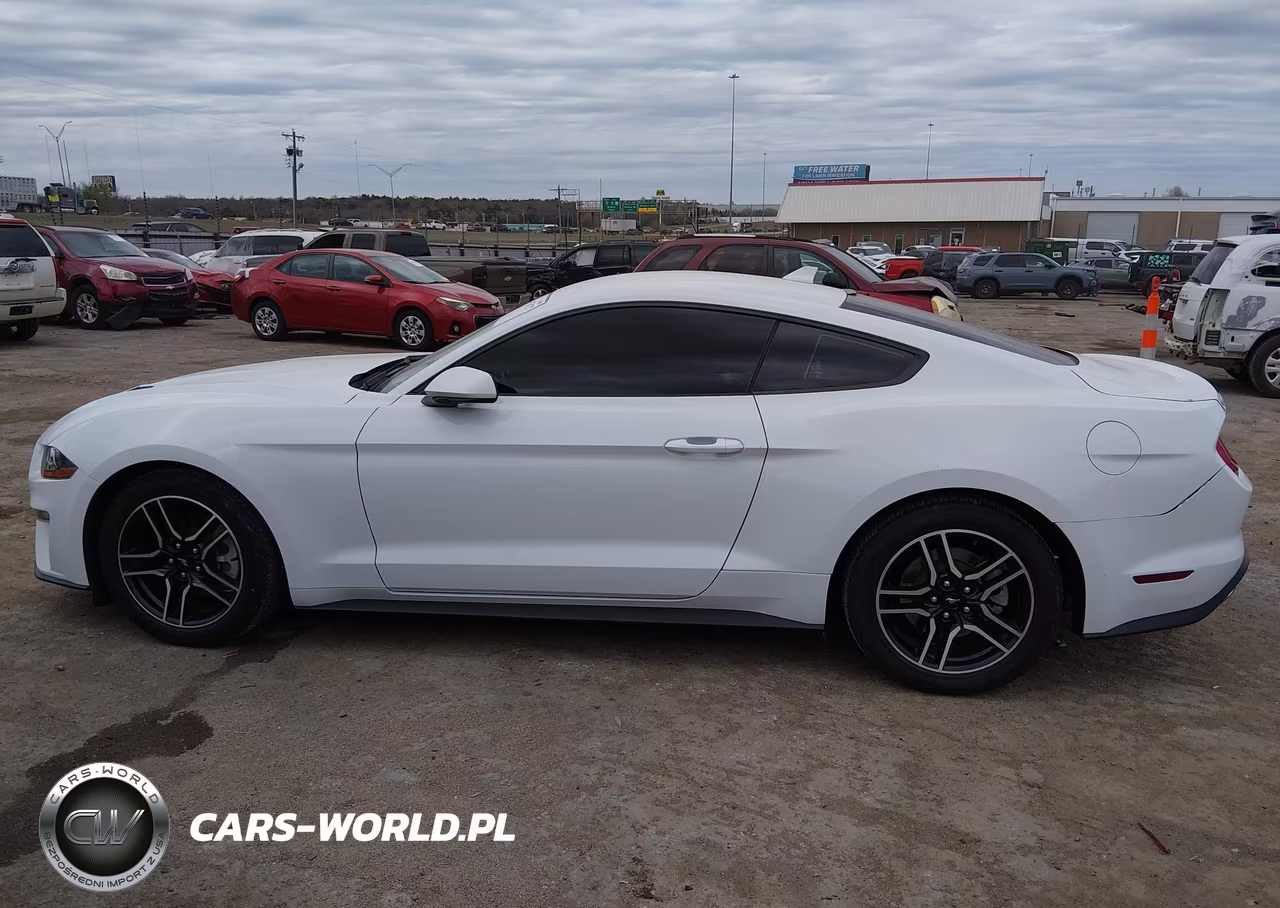 2021 Ford Mustang Ecoboost Fastback VIN:1FA6P8TH8M5138020 - 14