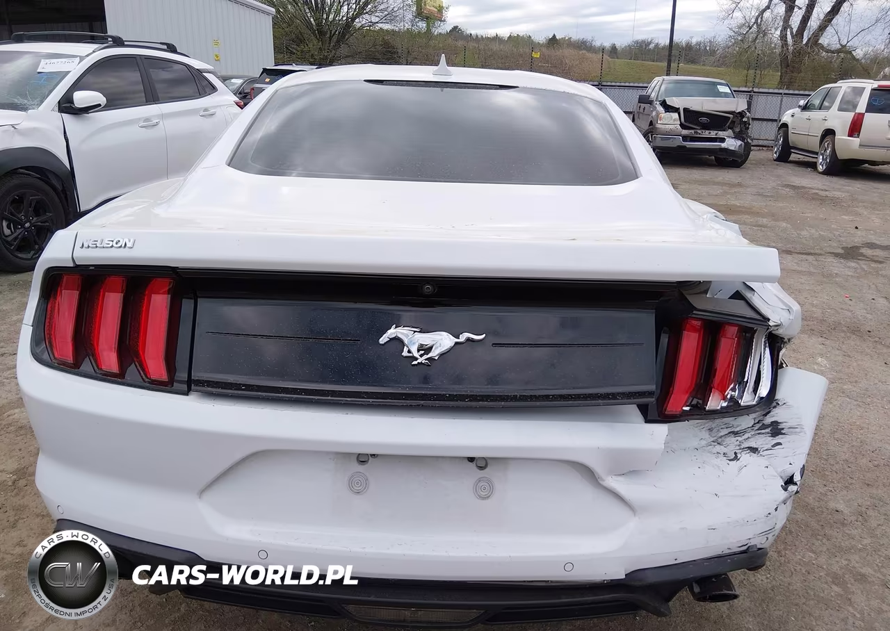 2021 Ford Mustang Ecoboost Fastback VIN:1FA6P8TH8M5138020 - 16