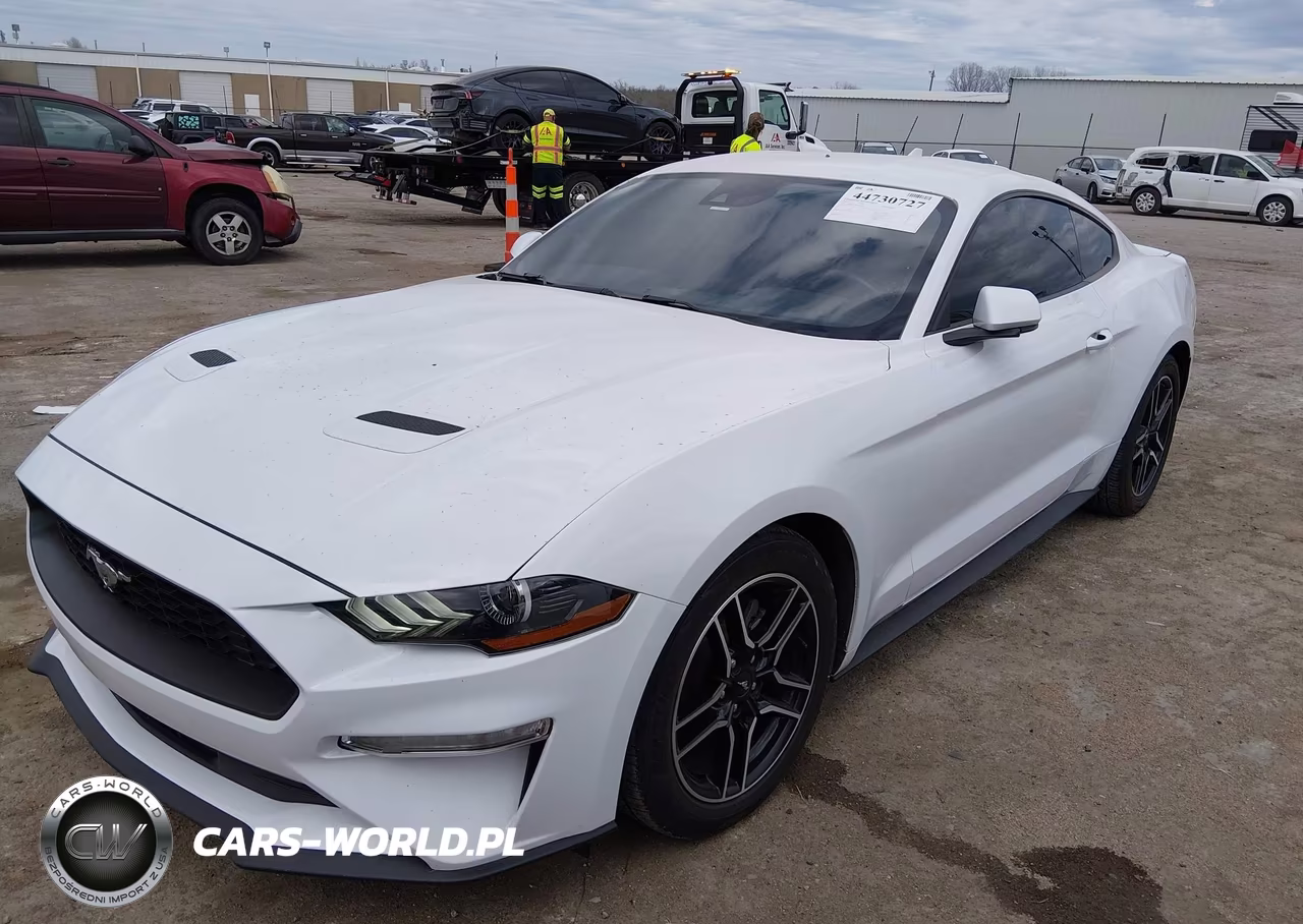 2021 Ford Mustang Ecoboost Fastback VIN:1FA6P8TH8M5138020 - 2