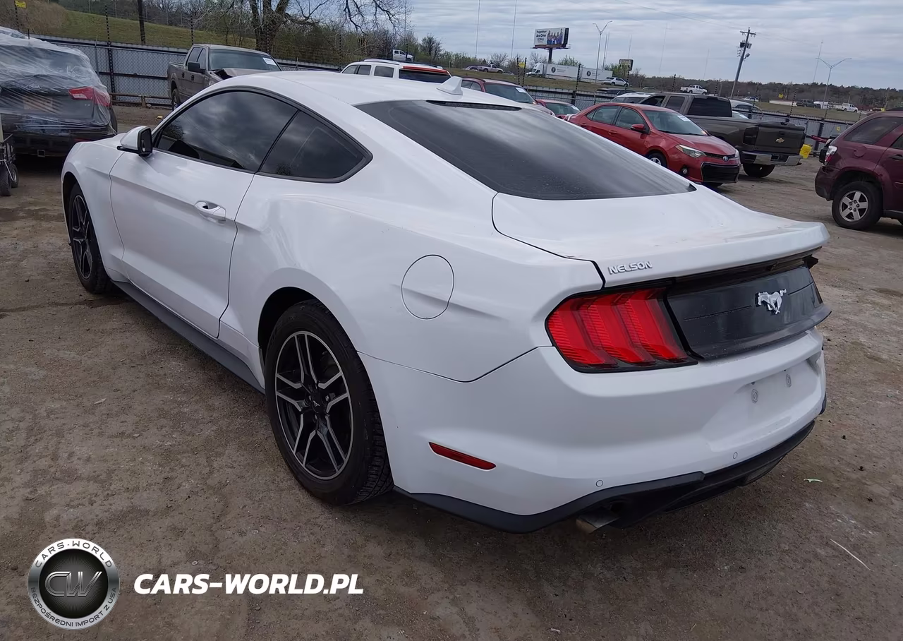 2021 Ford Mustang Ecoboost Fastback VIN:1FA6P8TH8M5138020 - 3