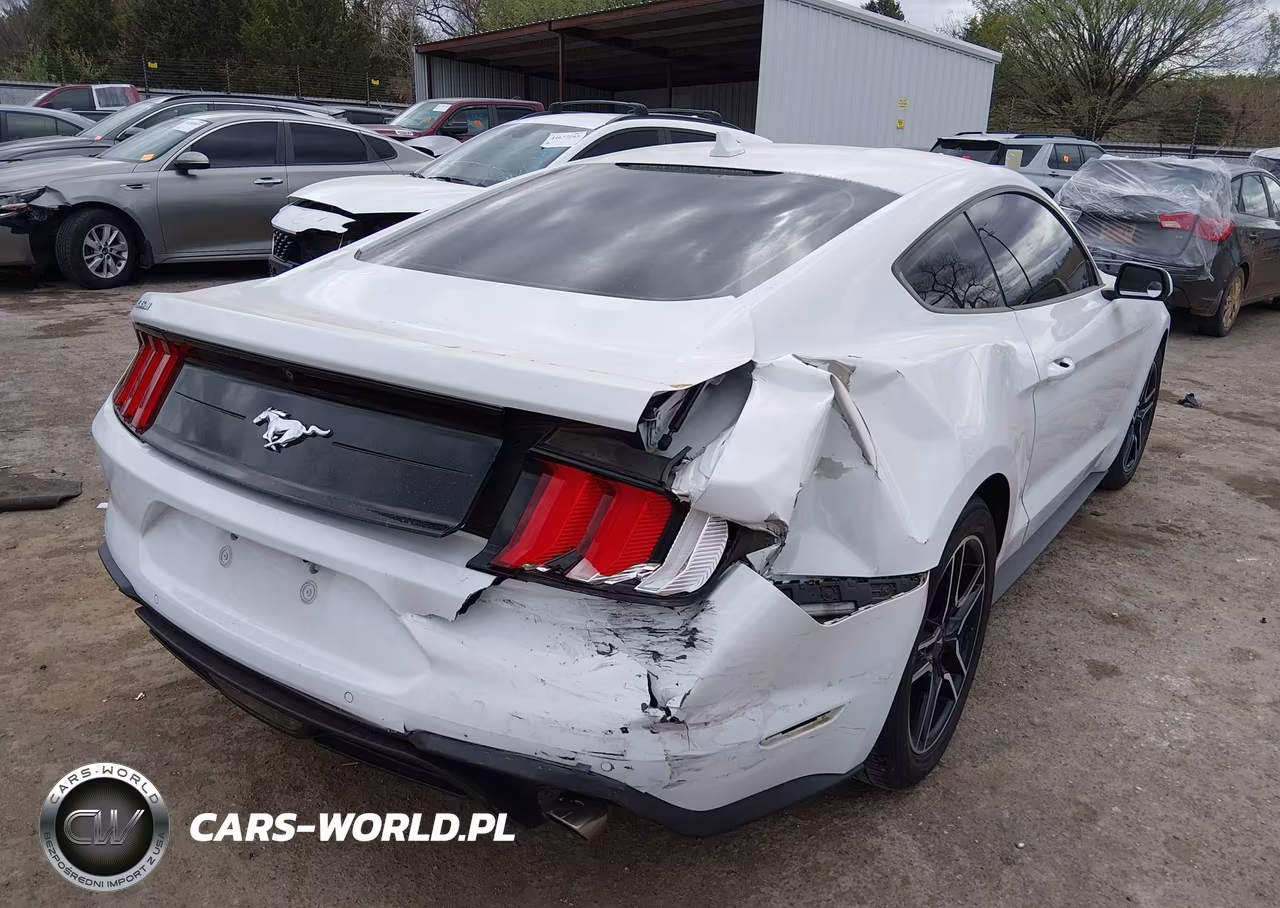 2021 Ford Mustang Ecoboost Fastback VIN:1FA6P8TH8M5138020 - 4
