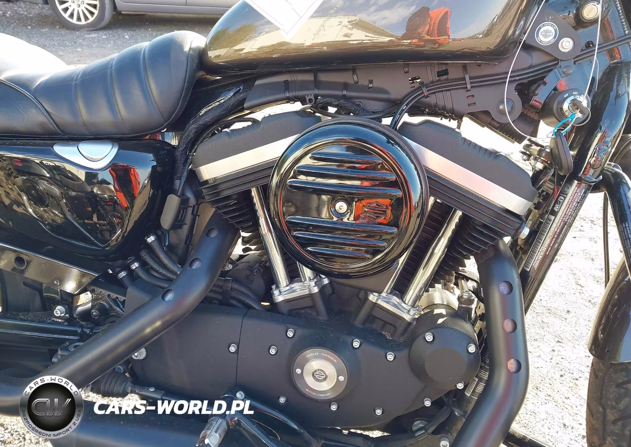 2020 Harley-Davidson Xl883 N VIN:1HD4LE213LB416322 - 8