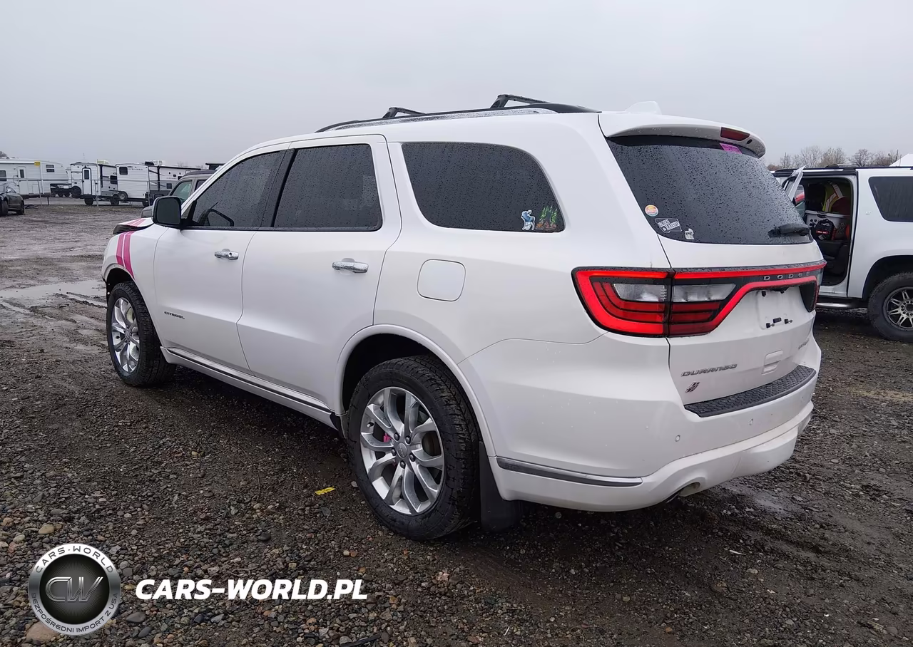 2018 Dodge Durango Citadel VIN:1C4RDJEG1JC248166 - 3