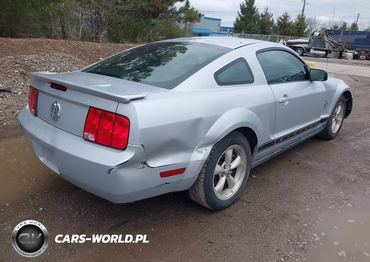 2007 Ford Mustang V6 Deluxe-V6 Premium VIN:1ZVFT80N675338041 - 4