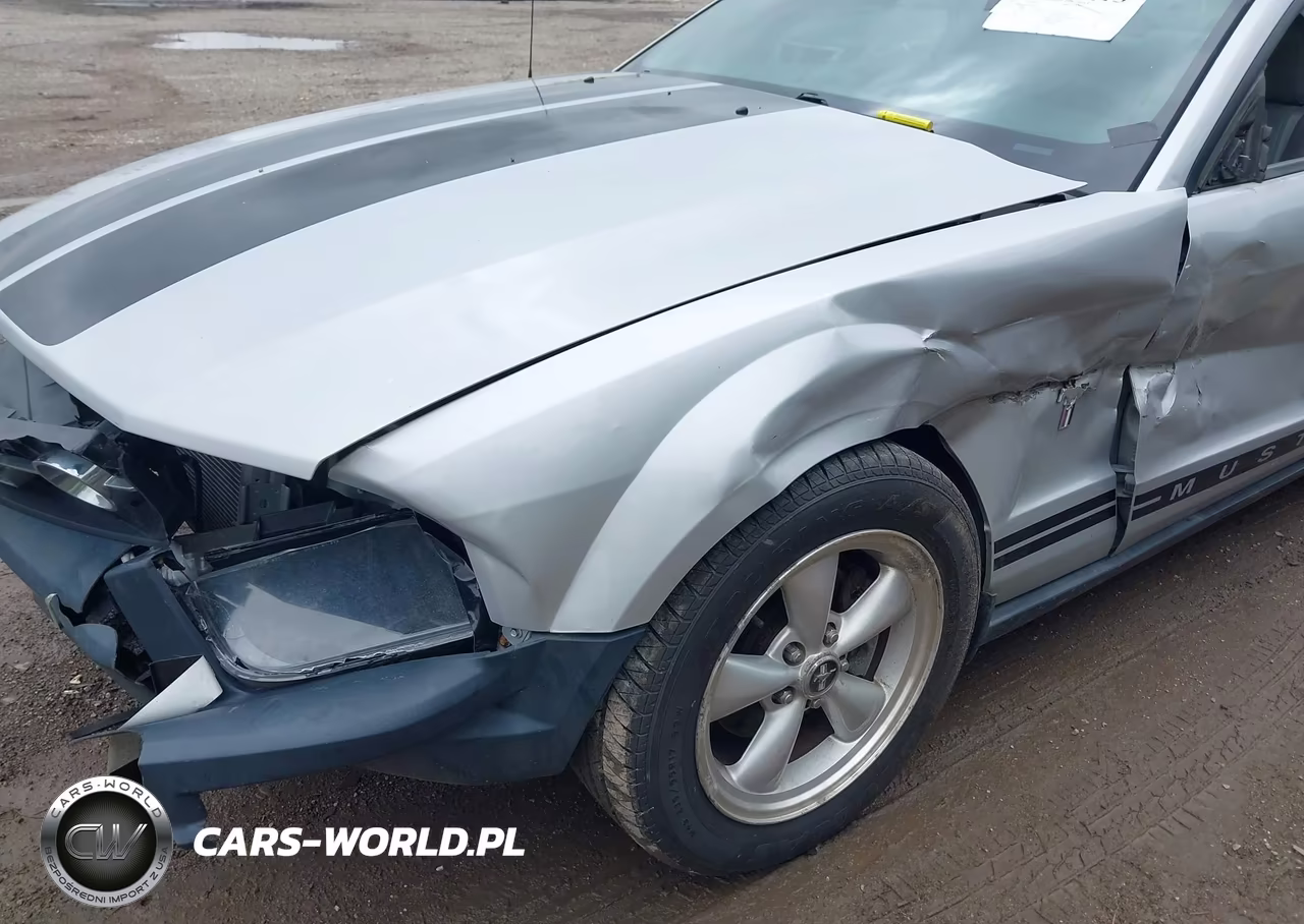 2007 Ford Mustang V6 Deluxe-V6 Premium VIN:1ZVFT80N675338041 - 6