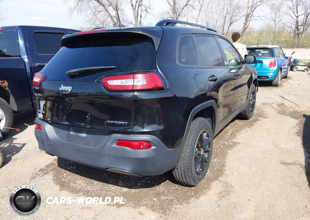 2016 Jeep Cherokee Sport VIN:1C4PJMAB3GW290034 - 4