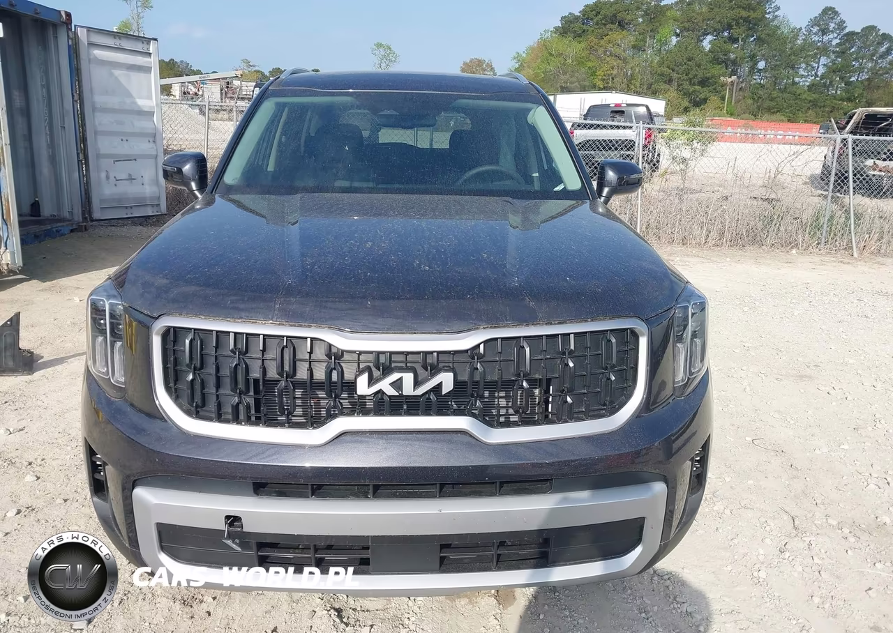 2025 Kia Telluride Ex VIN:5XYP3DGC9SG714669 - 12