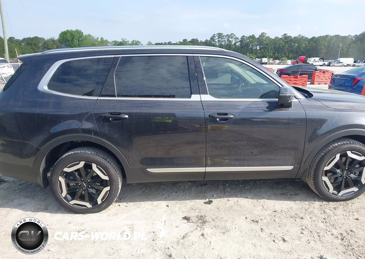 2025 Kia Telluride Ex VIN:5XYP3DGC9SG714669 - 13