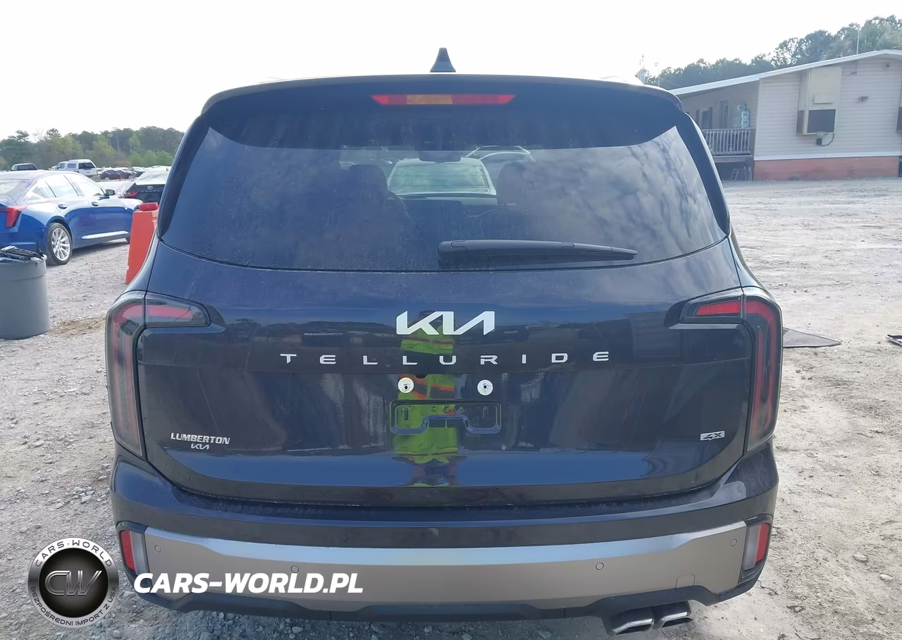 2025 Kia Telluride Ex VIN:5XYP3DGC9SG714669 - 16