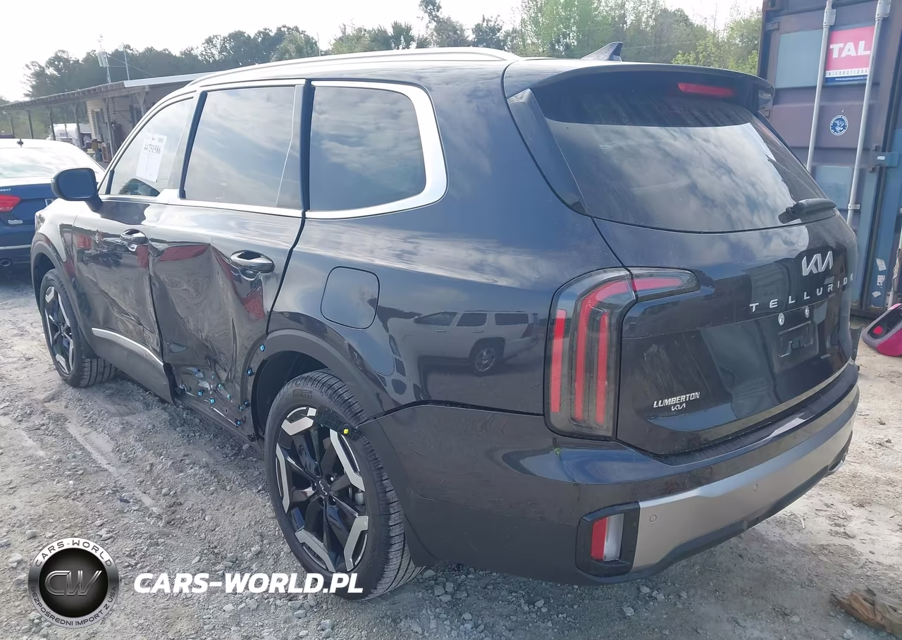 2025 Kia Telluride Ex VIN:5XYP3DGC9SG714669 - 3