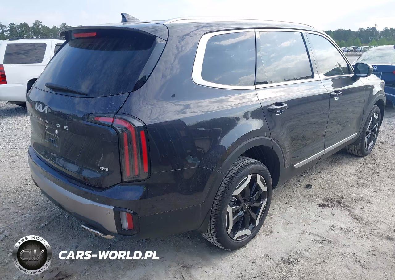 2025 Kia Telluride Ex VIN:5XYP3DGC9SG714669 - 4