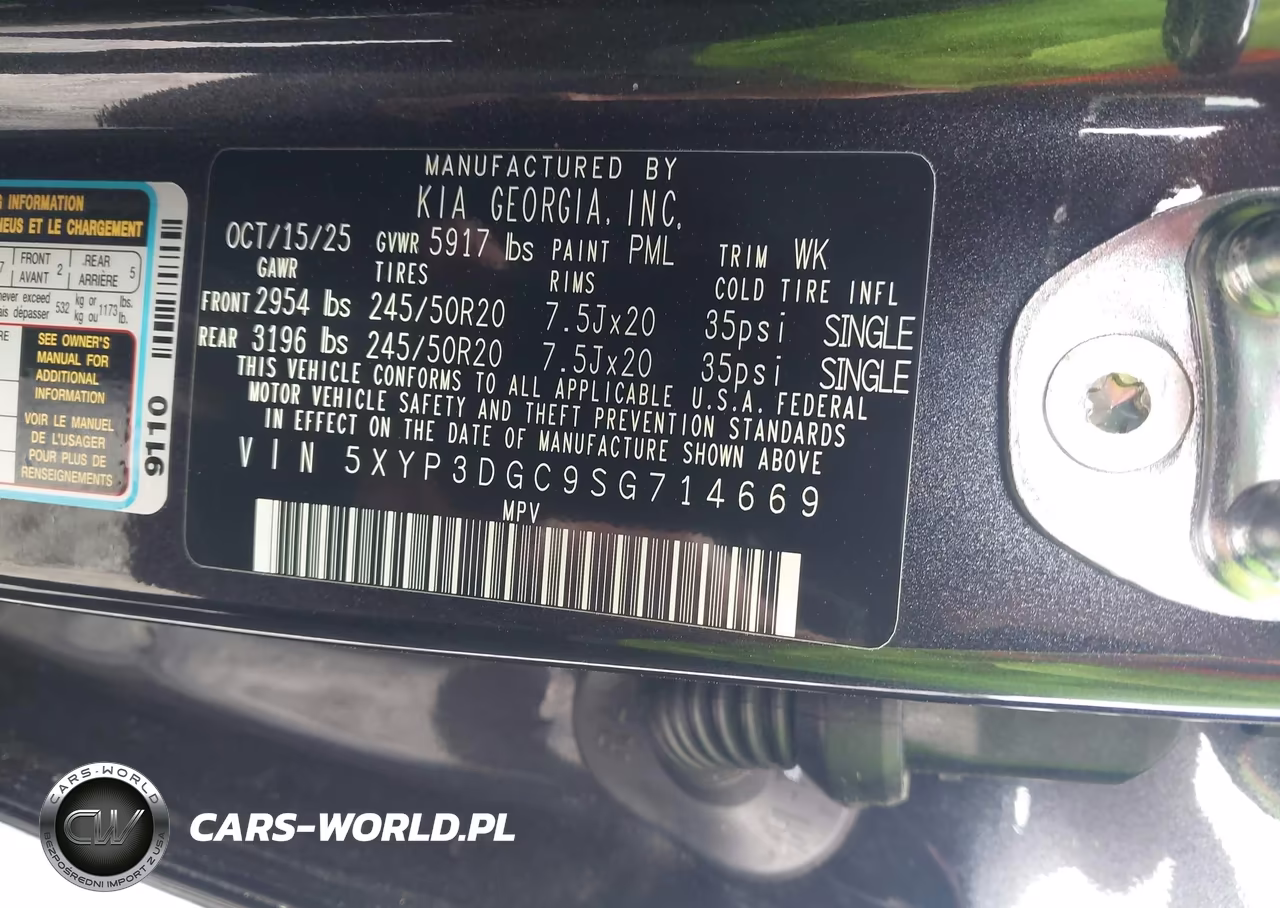 2025 Kia Telluride Ex VIN:5XYP3DGC9SG714669 - 9