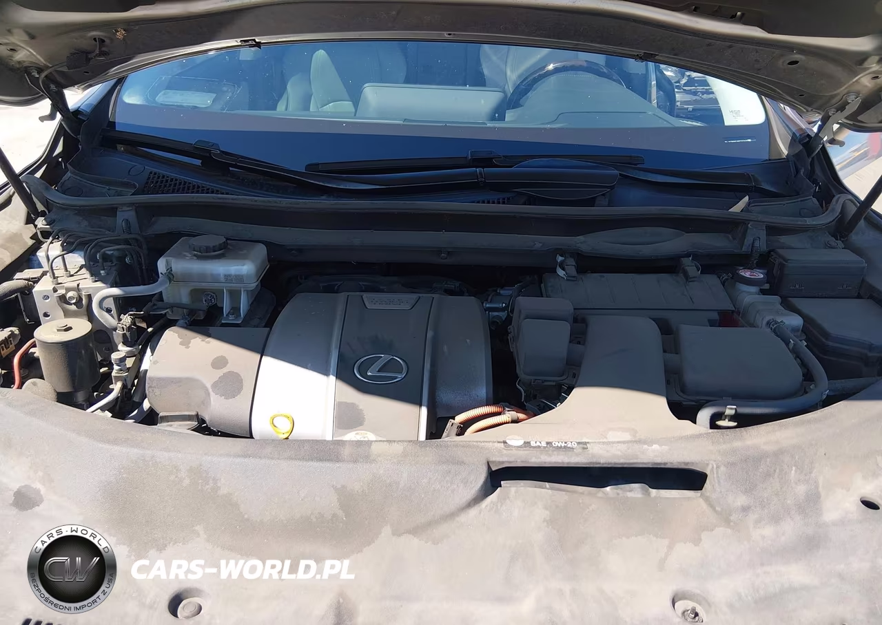 2019 Lexus Rx 450H VIN:2T2BGMCA6KC032438 - 10