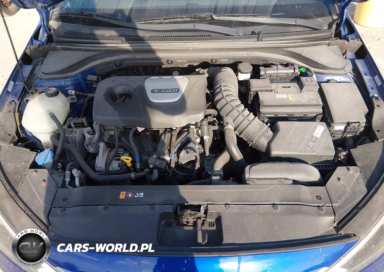 2020 Hyundai Elantra Sport VIN:KMHD04LB6LU992918 - 10
