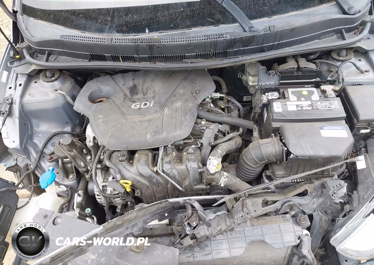 2016 Hyundai Accent Se VIN:KMHCT4AE2GU151619 - 10