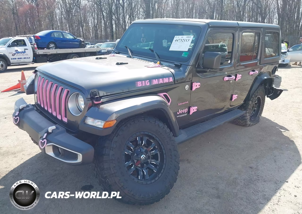 2019 Jeep Wrangler Unlimited Sahara 4X4 VIN:1C4HJXEG8KW527878 - 2
