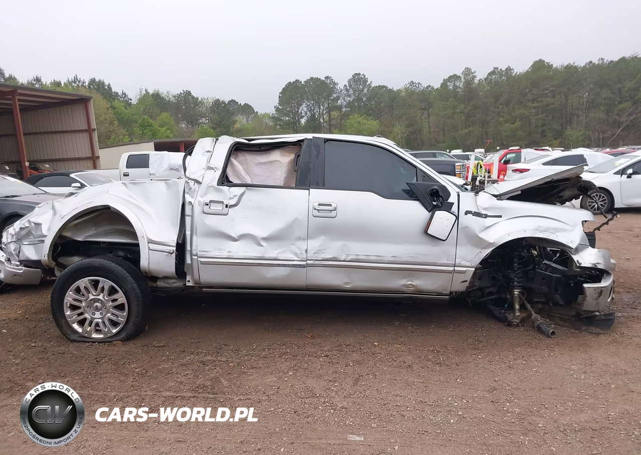 2014 Ford F-150 Platinum VIN:1FTFW1EF1EFA89853 - 13
